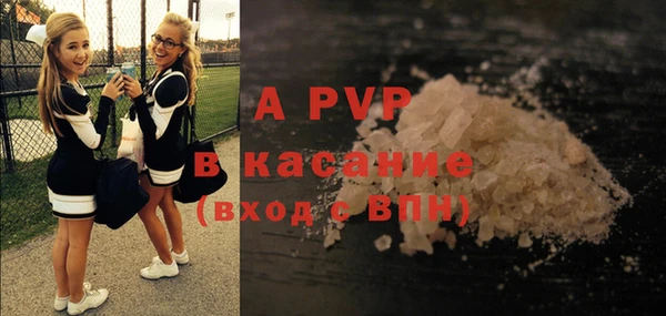 прущие крисы Каменка