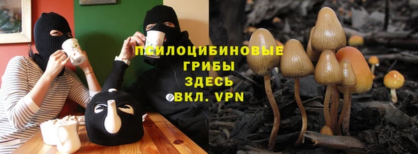 дурь Луховицы