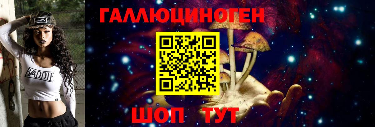 Галлюциногенные грибы MAGIC MUSHROOMS  Галлюциногенные грибы MAGIC MUSHROOMS  Бийск  где купить наркоту  Вход с VPN 